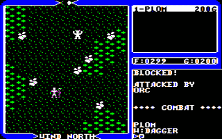 Ultima IV - Quest of The Avatar Screenshot 1